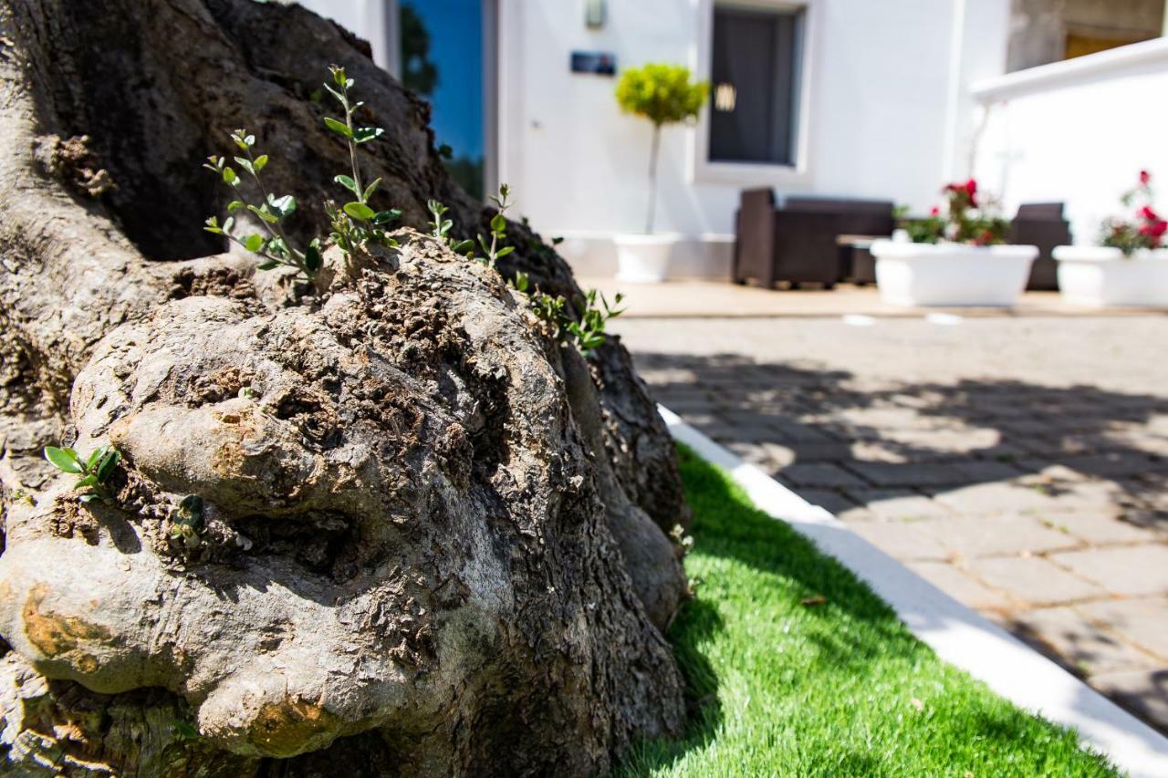 Dal Signor Wolf Bed & Breakfast Pezze Di Greco Ngoại thất bức ảnh